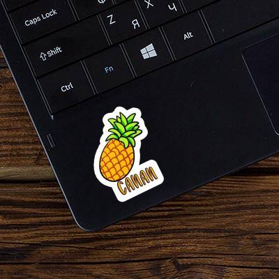 Sticker Canan Pineapple Image