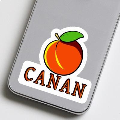 Autocollant Canan Abricot Laptop Image