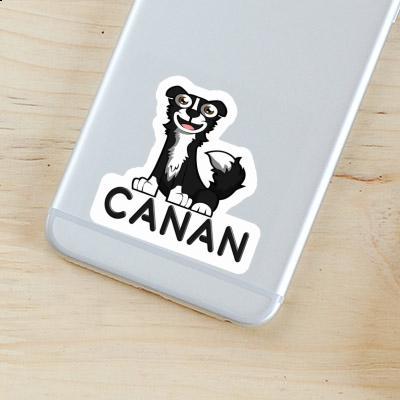 Border Collie Sticker Canan Laptop Image