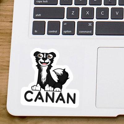 Border Collie Sticker Canan Gift package Image