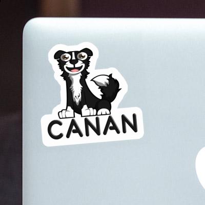 Border Collie Sticker Canan Image