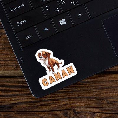 Sticker Boxer Dog Canan Gift package Image