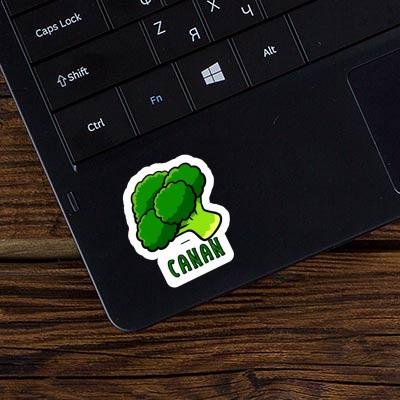 Canan Sticker Broccoli Laptop Image