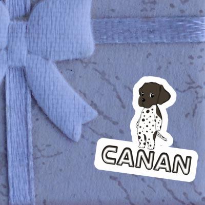 German Shorthaired Pointer Sticker Canan Gift package Image