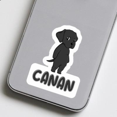 Labrador Autocollant Canan Laptop Image