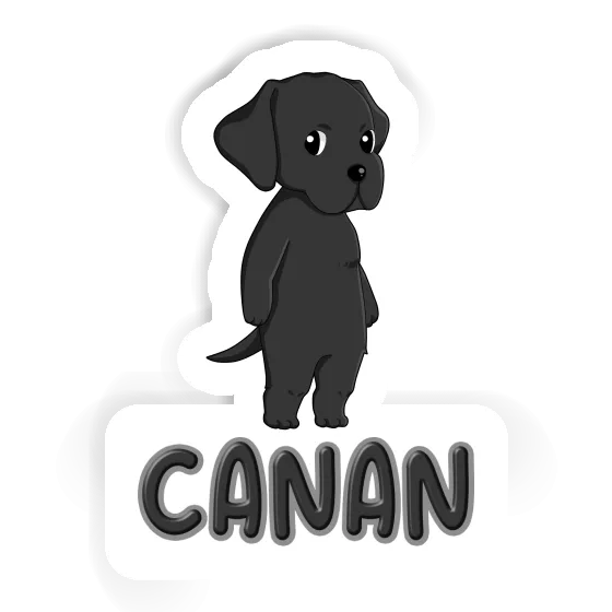 Labrador Autocollant Canan Image