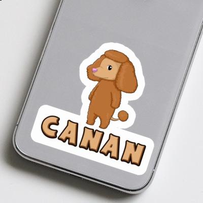 Sticker Canan Poodle Notebook Image