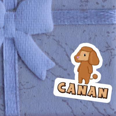 Sticker Canan Pudel Gift package Image