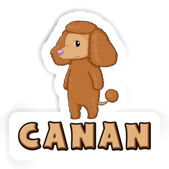 Sticker Canan Poodle Gift package Image