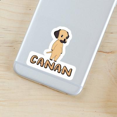 Sticker Rhodesian Ridgeback Canan Gift package Image