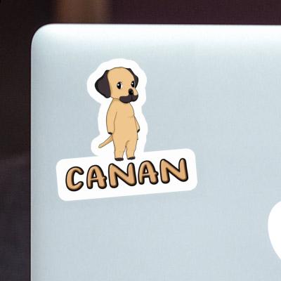 Sticker Rhodesian Ridgeback Canan Laptop Image