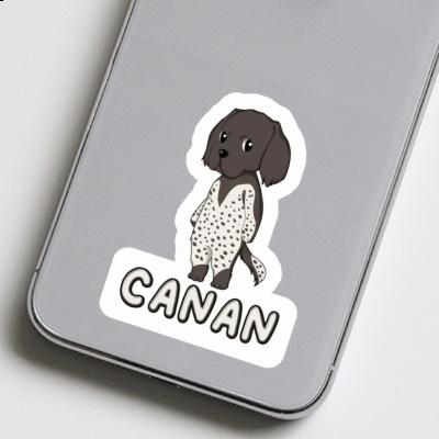 Small Munsterlander Sticker Canan Gift package Image