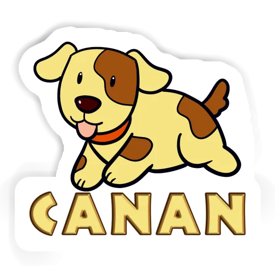 Sticker Canan Dog Gift package Image