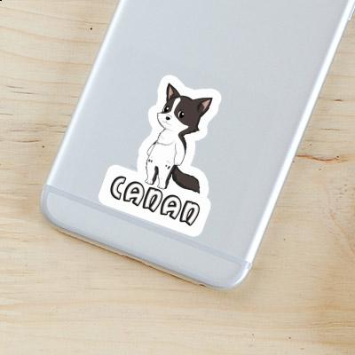 Sticker Border Collie Canan Gift package Image