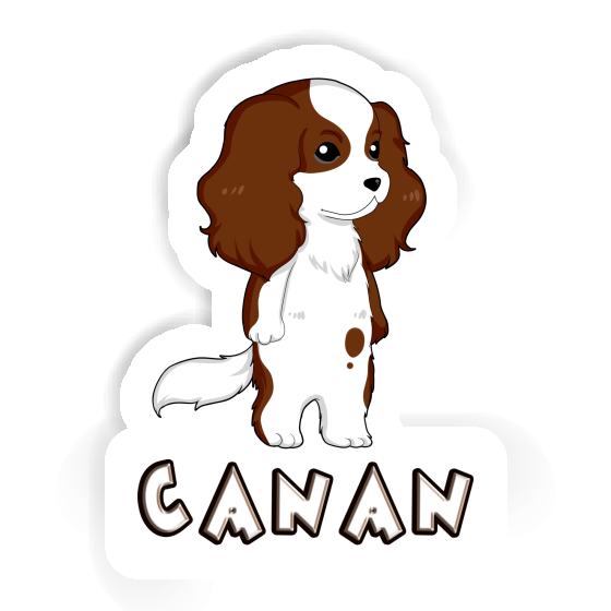 Autocollant Cavalier King Charles Spaniel Canan Image