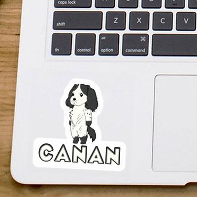 Canan Sticker Spaniel Image