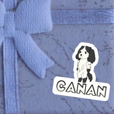 Canan Sticker Spaniel Image