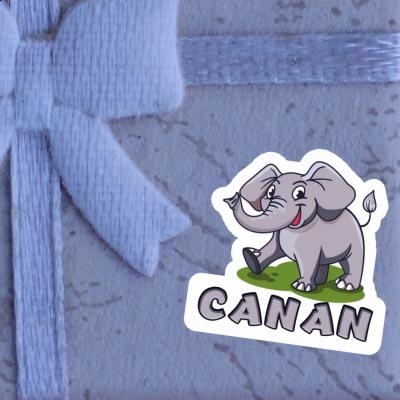 Autocollant Canan Éléphant Gift package Image