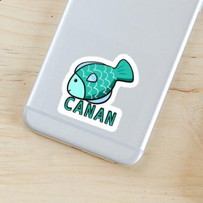 Sticker Canan Fish Gift package Image