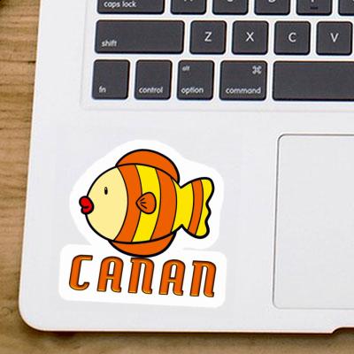 Sticker Fish Canan Gift package Image