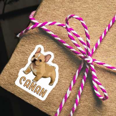 Autocollant Bouledogue Canan Gift package Image