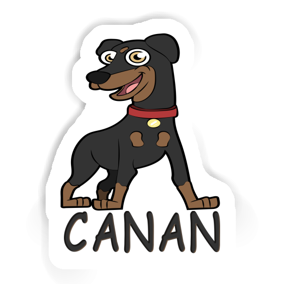 Sticker German Pinscher Canan Notebook Image