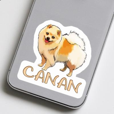 Sticker German Spitz Canan Gift package Image