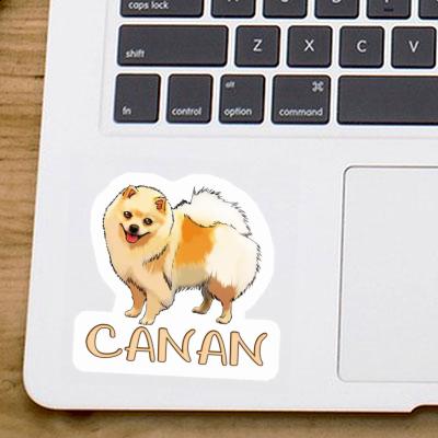 Sticker German Spitz Canan Gift package Image