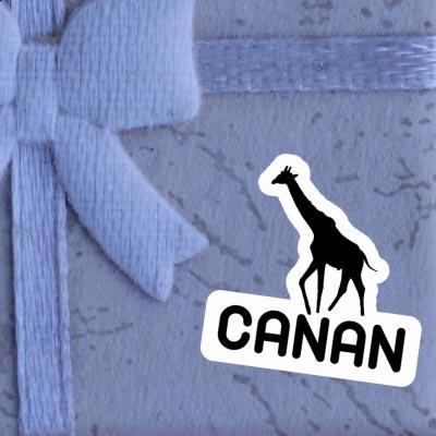 Canan Autocollant Girafe Laptop Image