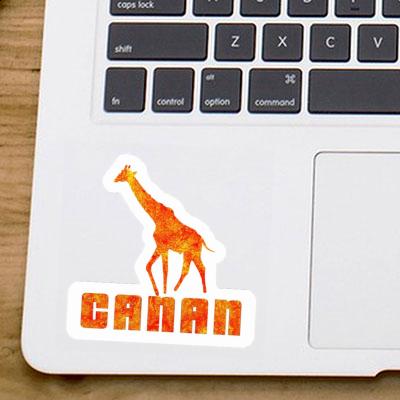 Aufkleber Giraffe Canan Laptop Image