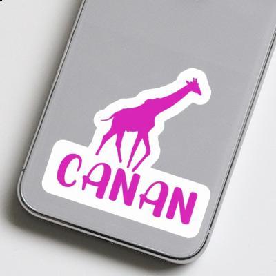 Autocollant Canan Girafe Image