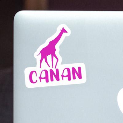 Autocollant Canan Girafe Image