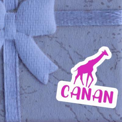 Autocollant Canan Girafe Gift package Image