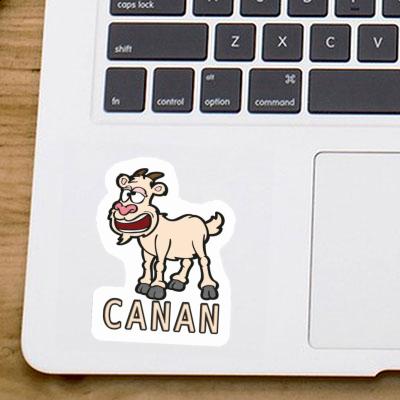 Goat Sticker Canan Image