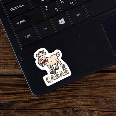 Goat Sticker Canan Laptop Image