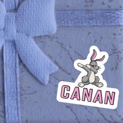 Autocollant Lapin Canan Laptop Image