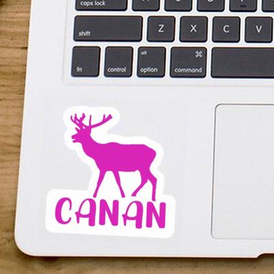 Sticker Canan Deer Gift package Image