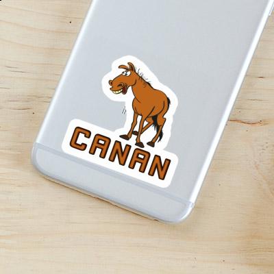 Canan Sticker Horse Laptop Image