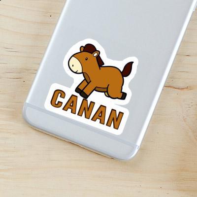 Pferd Sticker Canan Gift package Image