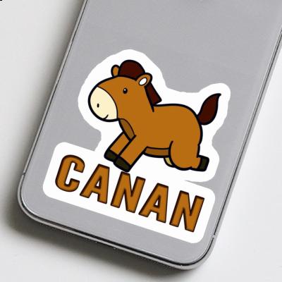 Horse Sticker Canan Gift package Image