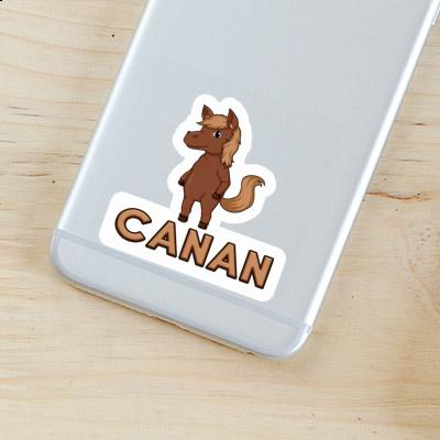 Horse Sticker Canan Image