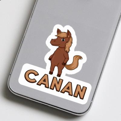 Autocollant Canan Cheval Gift package Image