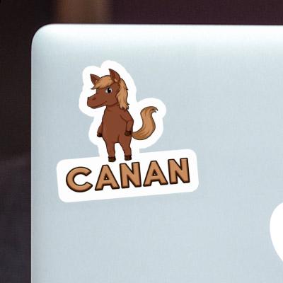 Horse Sticker Canan Gift package Image