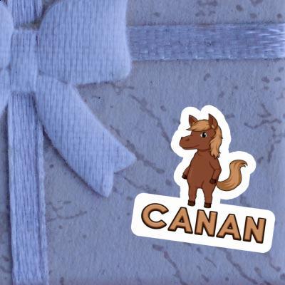 Horse Sticker Canan Laptop Image