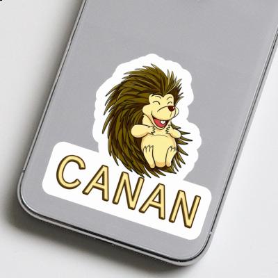 Sticker Hedgehog Canan Laptop Image