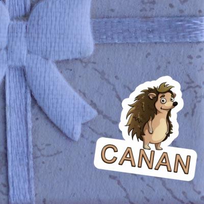 Canan Sticker Hedgehog Gift package Image