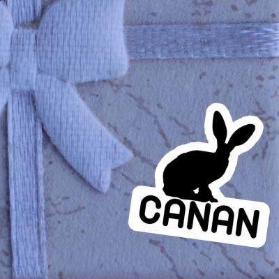 Autocollant Lapin Canan Gift package Image