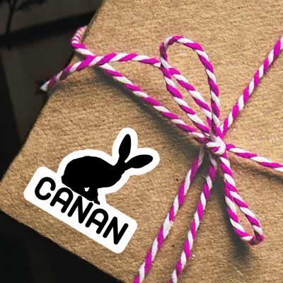 Autocollant Lapin Canan Gift package Image