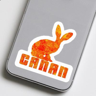 Rabbit Sticker Canan Laptop Image