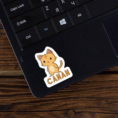 Autocollant Chaton Canan Laptop Image